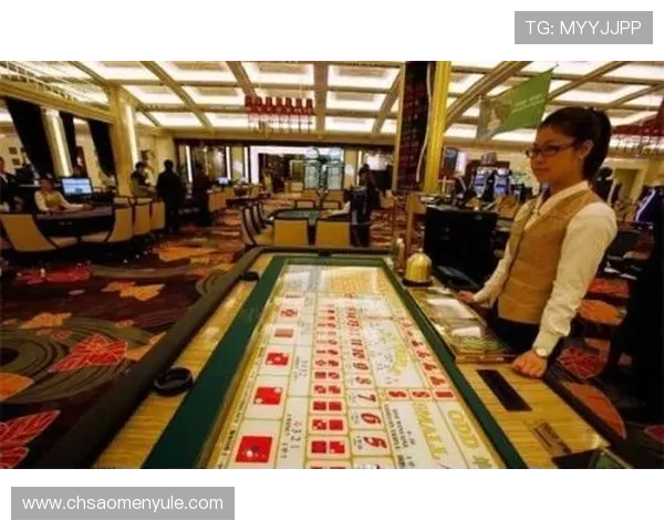 澳门娱乐场玩法规则详解帮助玩家理解各种游戏的基本操作