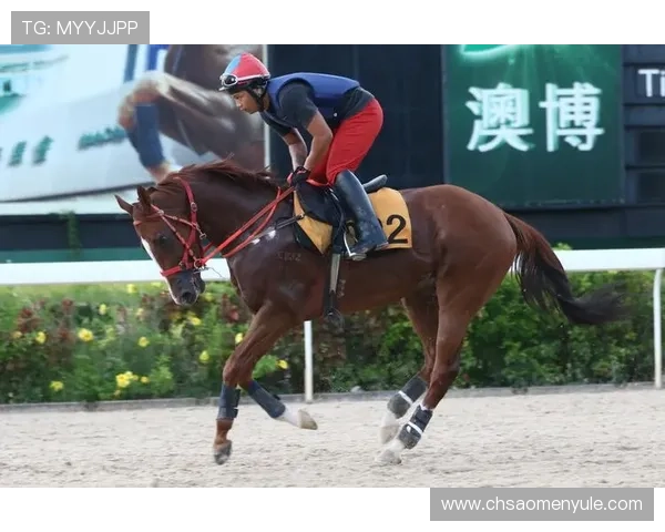 澳门赛马今天直播赛事精彩瞬间集锦与赛马精彩回放 澳门赛马今天直播赛事精彩瞬间集锦与赛马精彩回放