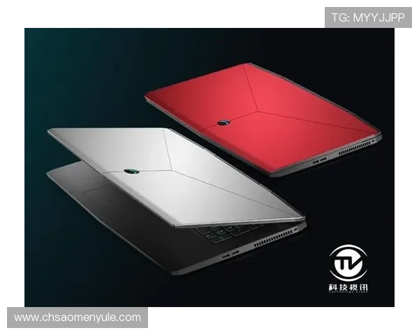 DG视讯官网玩家评价和游戏体验分享帮助新手快速融入丰富游戏世界