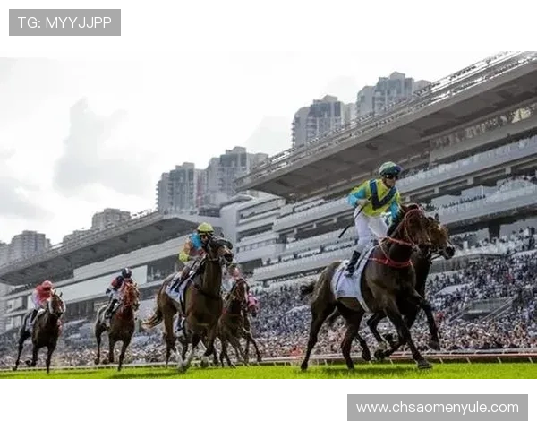 hkjc官方网站：探索香港赛马会丰富多彩的赛事安排与历史文化背景介绍