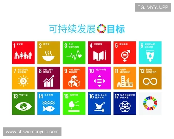 大阳城集团社会责任承担与可持续发展目标实现路径探讨