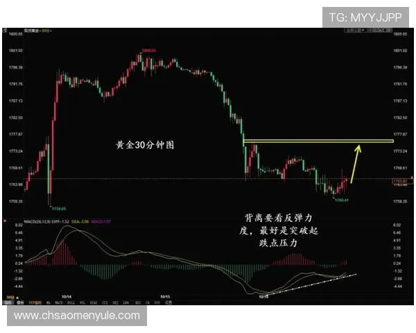 澳门在线博彩风险控制措施，保障玩家资金安全与个人信息保护