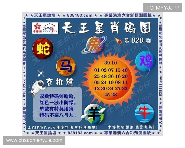澳门彩网站登录账户密码忘记处理流程，让您快速恢复登录访问